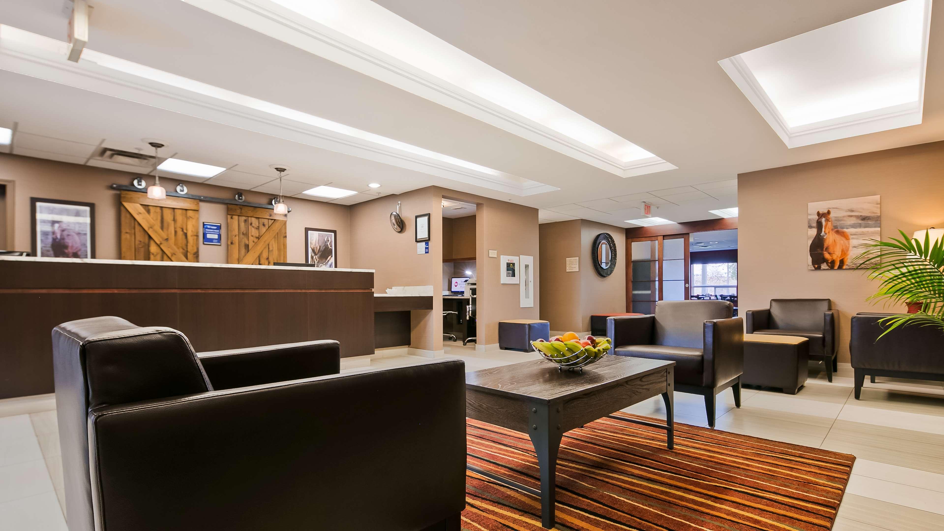 Best Western Plus Red Deer Inn & Suite Dış mekan fotoğraf
