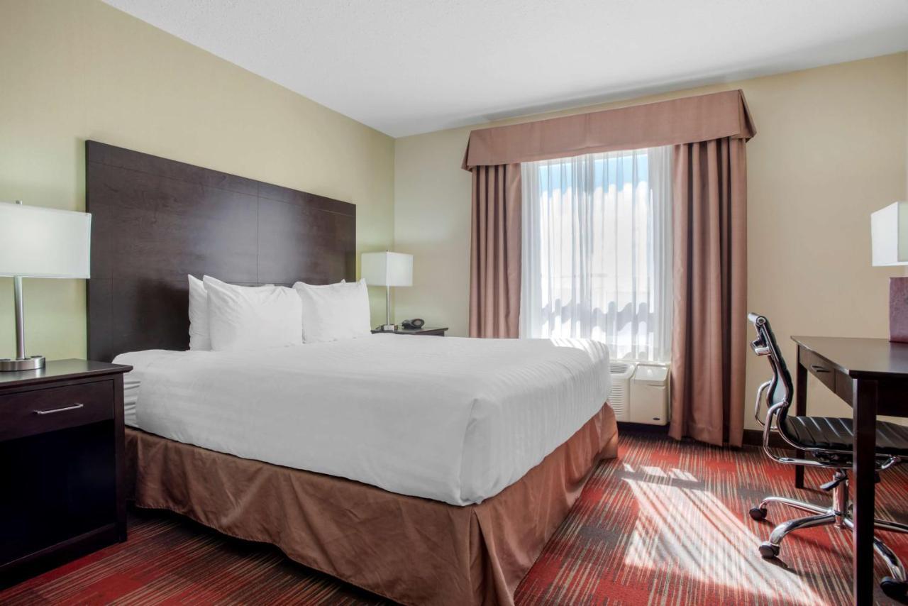 Best Western Plus Red Deer Inn & Suite Dış mekan fotoğraf