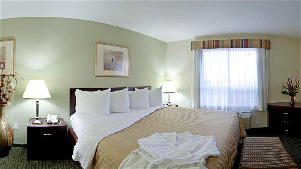 Best Western Plus Red Deer Inn & Suite Dış mekan fotoğraf